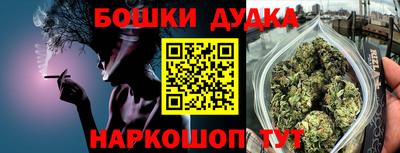 индика Гагарин