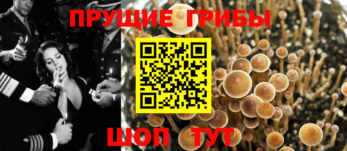 Галлюциногенные грибы GOLDEN TEACHER  что такое наркотик  Псилоцибиновые грибы ЛСД  Керчь  Вход с VPN 